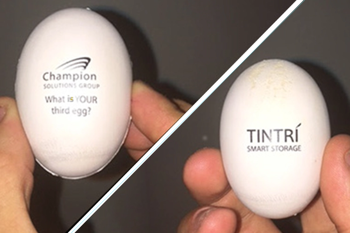 Third Egg Campaign